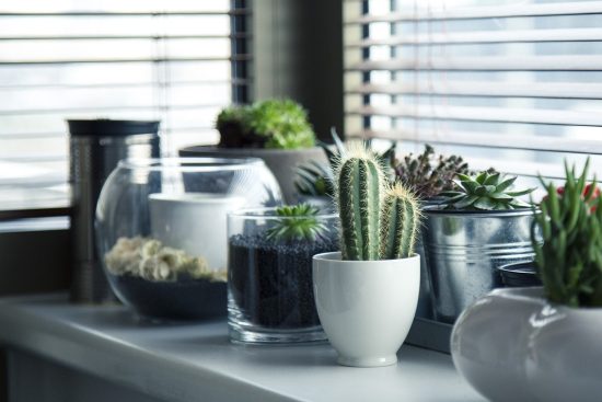 discover stylish and affordable home decor solutions that transform your living space without breaking the bank. explore a variety of trendy items that fit any budget, from charming accents to functional essentials.