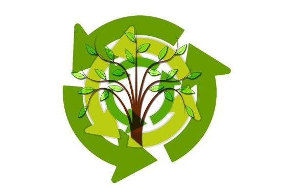 explore the importance of sustainability in today's world, its impact on the environment, and the steps we can take to foster a greener future for generations to come.