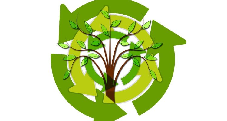 explore the importance of sustainability in today's world, its impact on the environment, and the steps we can take to foster a greener future for generations to come.