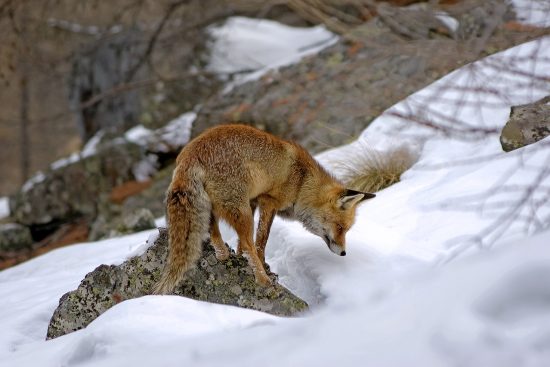 discover the ultimate guide to deal hunting! uncover tips and strategies to find the best bargains, maximize your savings, and become a savvy shopper. learn how to navigate discounts, sales, and promotions like a pro and enjoy the thrill of the hunt.