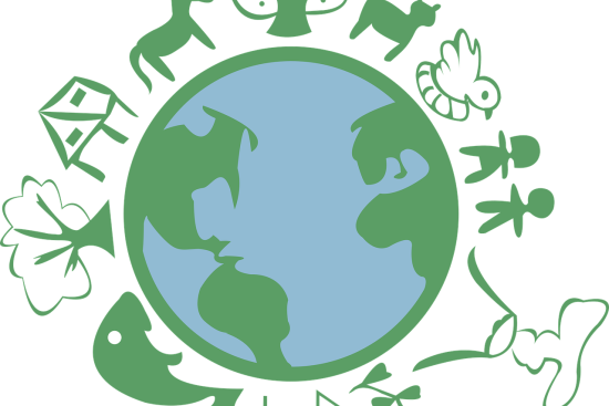 explore the essential principles of sustainability, understanding its impact on the environment, economy, and society. learn how to implement sustainable practices in daily life to promote a healthier planet for future generations.