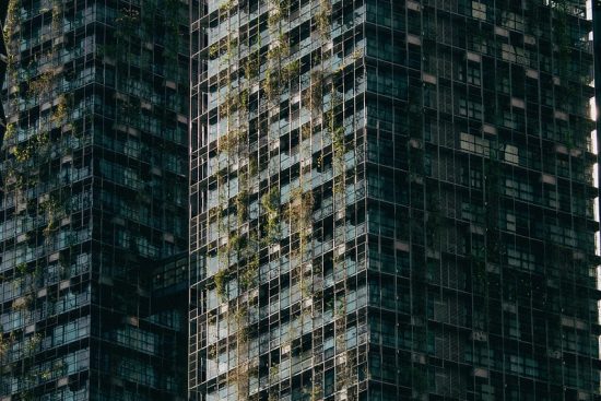 discover the importance of sustainable purchasing in today's eco-conscious market. learn how to make responsible buying decisions that support environmental sustainability, promote ethical practices, and contribute to a healthier planet.