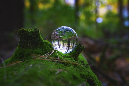 discover the essence of eco-conscious living with sustainable practices and mindful choices. embrace a lifestyle that prioritizes the environment and promotes a healthier planet for future generations.