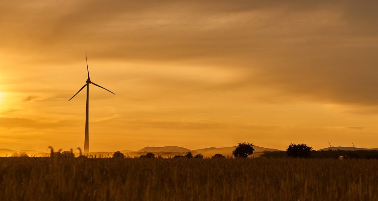 discover a variety of eco-friendly alternatives that promote sustainability and reduce environmental impact. explore options for everyday products, energy solutions, and lifestyle choices that benefit both you and the planet.
