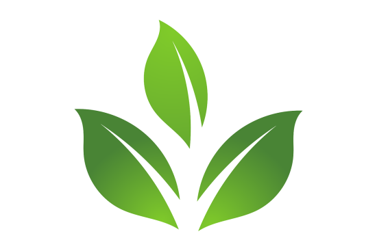 explore a variety of eco-friendly options that promote sustainability and reduce your environmental impact. discover innovative products and practices designed to make a difference for our planet.